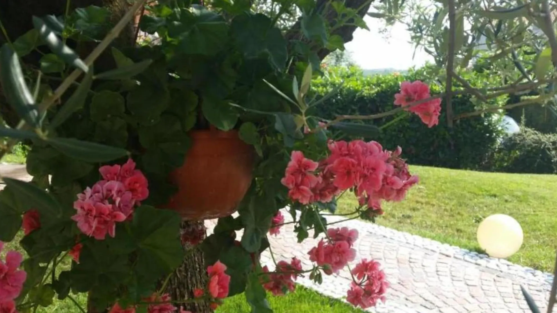 Apartments Alenka - One Bedroom Apartment Rovinj